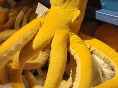 -宜家家居(四元桥商场店)