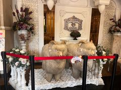 -新兴家喻酒家·羊城名宴(昌岗店)