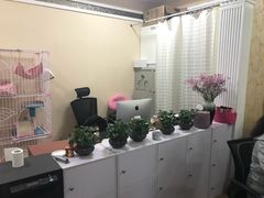 -青春加萌照相馆