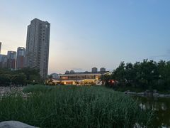 -绿岛公园(滨海新区)