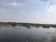 -焦岗湖旅游度假区
