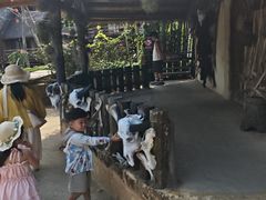 -海南槟榔谷黎苗文化旅游区
