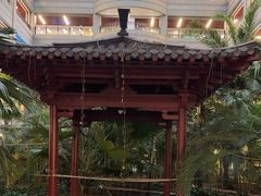 -黑龙江中医药大学附属第一医院