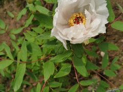 -合肥三国新城遗址公园