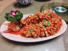 松鼠鱼-金牌餐厅·天津菜·八珍豆腐·老爆三(瓷房子店)