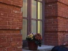 -Ocean's Table 欧舍