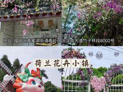 -梧桐山风景名胜区