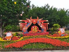 -金鸡山公园