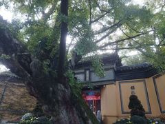 -无锡惠山寺