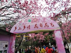 -昆明动物园