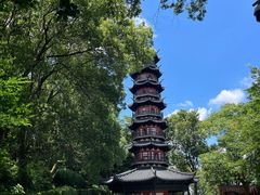 -上海佘山国家森林公园西佘山园