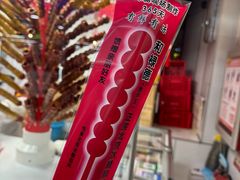 -和禄德冰糖葫芦
