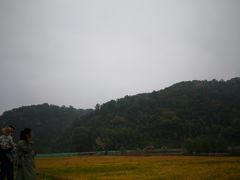 -南泥湾风景区