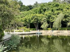 -竹湖园公园