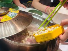 -润园四季椰子鸡火锅(欢乐海岸店)