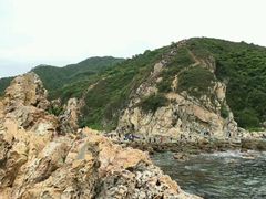 -西涌国际滨海旅游区