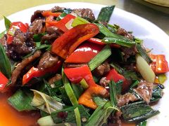 -煲来饱去冷水鱼