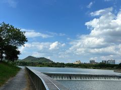 -风云岭森林公园