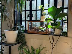 -一尺花园(安和花园店)