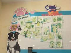 -天宠宠物医院24小时·急重症诊疗中心·全科·腔镜特色(和平分院)