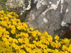 -东南大学(九龙湖校区)