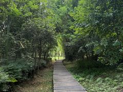-眉山湿地公园(东坡区)