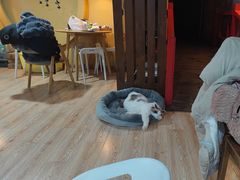 -白兔子密室(长寿路店)