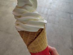 -蜜雪冰城(金地店)