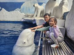 -秦皇岛乐岛海洋王国