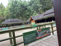 -野象谷景区