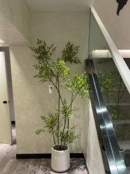 -爱小熊轻医美