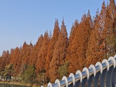 -蜀绣公园