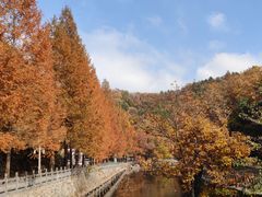 -洛阳白云山景区