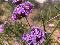 -石井坡(地铁站)