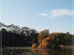 -大湾区中央湿地公园
