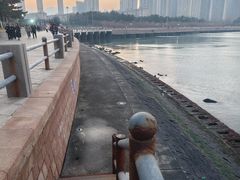 -悦海公园