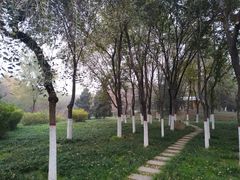 -杨凌树木园