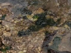 -金沙滩度假村