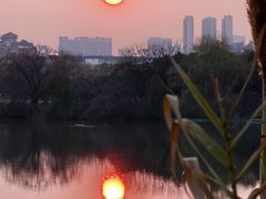 -金银湖国家城市湿地公园