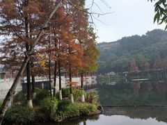 -重庆彩云湖湿地公园
