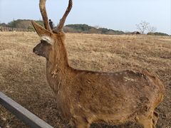 -良渚古城遗址公园