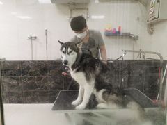 -乐琪宠物(青塔西路店)