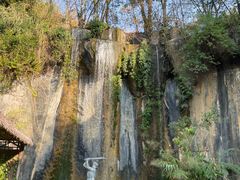 -西双版纳原始森林公园