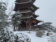 -迎泽公园