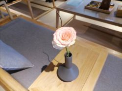 -FineYoga梵音瑜伽·普拉提