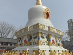 -护国法轮寺