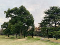 -上海滨江森林公园
