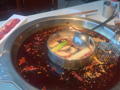 -之了火锅(公园街店)