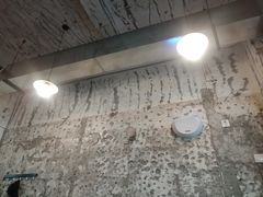 -国强牛肉(洋河总店)