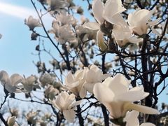 -首都图书馆-咖啡厅